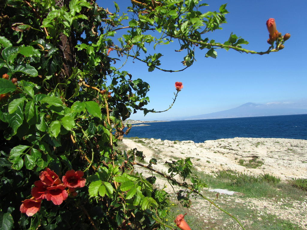 Villa Sicily Sul Mare Tra Catania E Siracusa Augusta Kamer foto